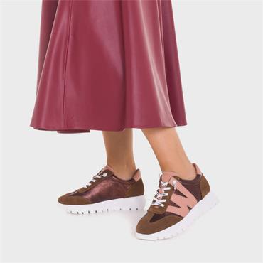 Wonders Odisei Two Tone Bungee Trainer - Brown Metallic